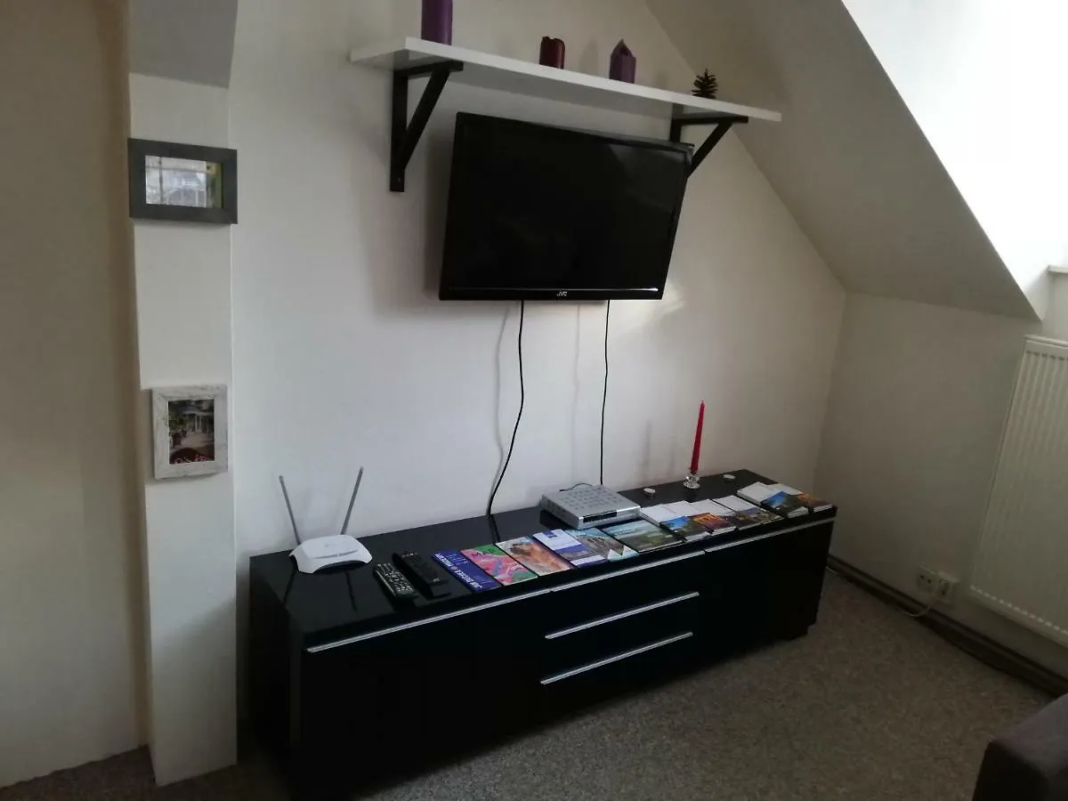 Apartment U Zabora Karlovy Vary Czech Republic